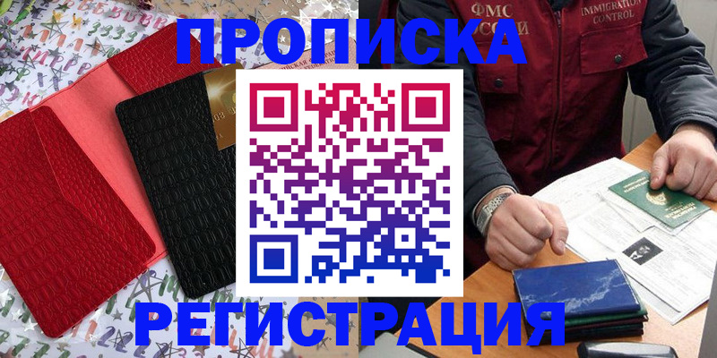 прописка штамп в Мончегорске